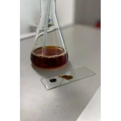 Tanin uscat Bousinage 1 g (pentru 4 l)