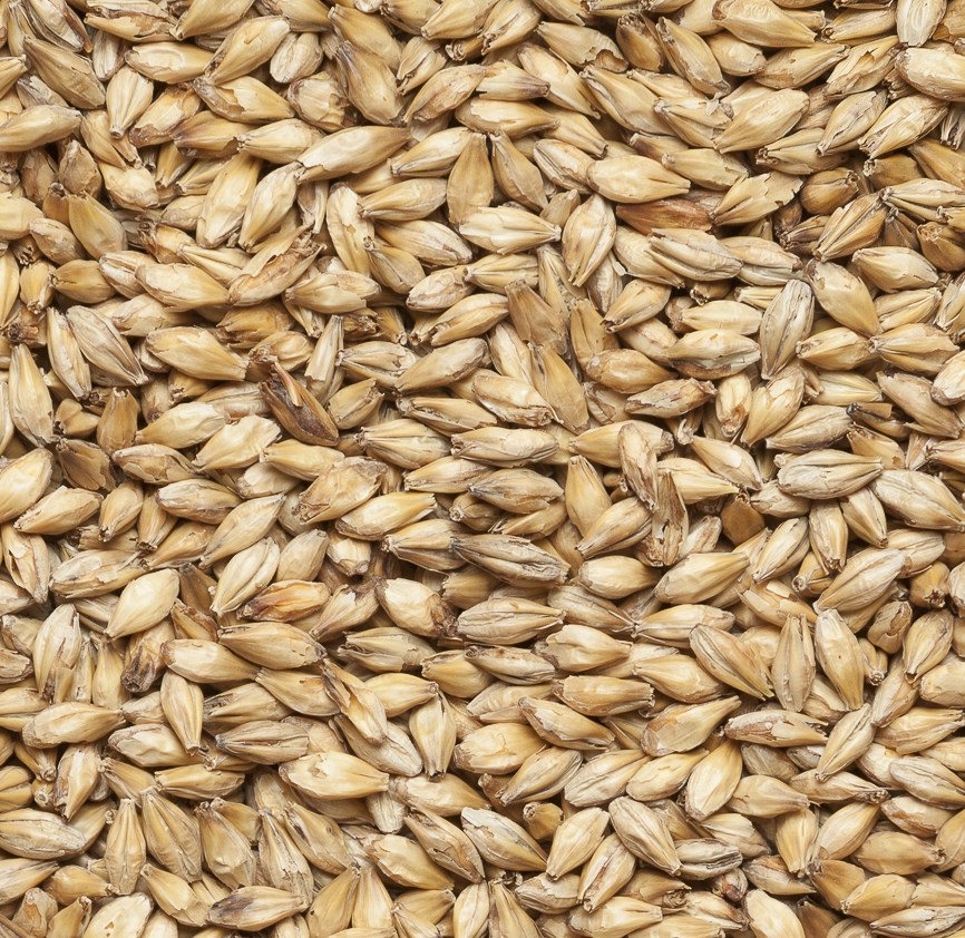 Malț Obolon 1 kg